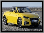 Audi TT Roadster S