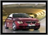 BMW 6, Bordowe