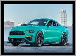 Ford Mustang ROUSH 729, Roush Performance