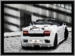 Gallardo