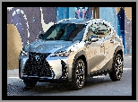 Lexus UX, Ściana, Srebrny, Kolorowa